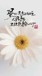 꽃 캘리그라피