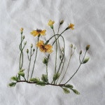 57 Likes, 6 Comments - 혜진안 (@dbora_63) on Instagram: “#좀씀바귀 #티매트#야생화 #hahembroidery #embroidery #꽃자수... 