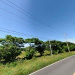 제주시 한림읍 금악리 토지 매매 - 2021 | 리조트, 목장, 부동산