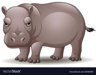 Cartoon funny hippo isolated on white background vector image on VectorStock Cartoon funny hippo isolated on white background... 