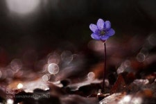 기타에 있는 m. ok님의 핀(이미지 포함)