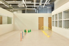 화이트&우드톤 깔끔한 60평 애견호텔 & 유치원 & 미용실 인테리어 (성동구 성수동)