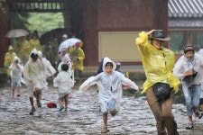 일하는 사람 사진 공모전 2013-02월 3등 배성연님 비 오는 날의 열정