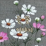 들꽃이야기