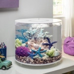 •플랜테리어 Terrarium 으로 나만의 아늑한 실내정원 만들기! | Fish aquarium decorations, Fish tank themes, Biorb fish tank