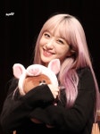 hani에 관한 8개의 최상의 Pinterest 이미지 | 하니, Super junior 및 아시아의 아름다움 hani
