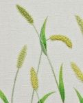 #야생화자수 #강아지풀 #꿈소 #꿈을짓는바느질공작소 #embroidery #foxtail #greenbristlegrass | 일본 자수, 자수 예술, 손 자수 패턴