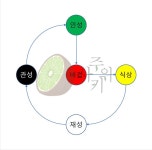 금화교역(화 중심 토목교역) 금화교역(화 중심 토목교역)【2024】 | 四柱