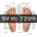 발로 보는 건강상태