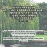 이사야 44:3-4 이사야 44:3-4 성경 말씀 카드