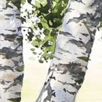 NAMIL ART #howtodrawwatercolor #shorts 기초 풍경수채화... NAMIL ART #howtodrawwatercolor  #shorts 기초 풍경수채화... 