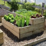 45 Affordable DIY Design Ideas for a Vegetable Garden in 2020 (With images) | Small vegetable gardens, Vegetable garden planning... 