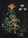 Shin Saimdang [신사임당] (1504-1551) - Painting of Insects and Grass No. 2 [초충도] | Pictures of insects, Korean painting... 