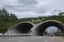 유토이미지 | 이미지·일러스트·그래픽·영상을 검색하세요.