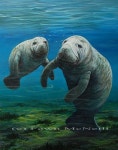 Animals에 관한 223개의 최상의 Pinterest 이미지 | 웃긴 동물, 애니멀 킹덤 및 야생 동물 Animals