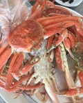 Daegae (대게, snow crab) in Korea come from the deep and cold East Sea waters and the season goes through February (depending on... 