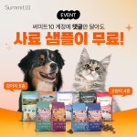 모던펫코리아_SNS_광고