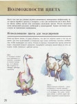 Pin by 순 on 동물 in 2023 | Watercolor tips, Watercolor, Animals