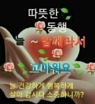 greetings에 있는 SuMin Kim님의 핀 | 좋은 아침 인사, 아침 인사, 프로페셔널 스타일