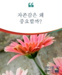 자존감은 왜 중요할까?