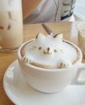 Pin page Café에 있는 핀 - 2024 | 카페 음식, 라떼아트, 라떼