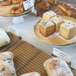 지수랑 나랑 흥 파티야 오늘✨ #오븐어클락 #치아바타 #bakery #cafe #shop #food