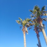 in_Jeju에 있는 찐빵 당근님의 핀