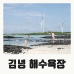 제주도 김녕 해수욕장 | 해수욕장, 해변, 숨은 그림 찾기