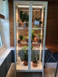 House plants I luv에 있는 Tori Mann님의 핀 | 원예