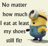 funny에 관한 77개의 최상의 Pinterest 이미지 funny