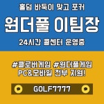 원더풀게임 원더풀 이팀장 카카오톡 : GOLF7777에 있는 핀