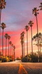 캘리포니아 도로 손바닥 일몰 자연 미학 바탕 화면 in 2020 | Nature aesthetic, Sunset nature, Nature wallpaper