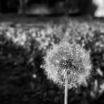 INSTAGRAM (mine)에 있는 anD studio님의 핀