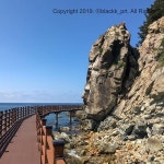 [New] The 10 Best Travel Ideas Today (with Pictures) -  #첫줄생략 #모아이바위 #호미반도해안둘레길 #둘레길 . . #여행... 