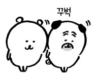 MM에 있는 10005님의 핀 | 귀여운 밈, 나가노, 귀여운 동물
