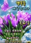 목요일 아침 인사 | 좋은 아침 인사, 행복한 하루, 꽃