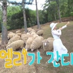 travel #해병대 #강원도가볼만한곳 #오션월드 #비발디파크 #국내여행 #맘스타그램 #육아스타그램 #맛스타그램 #먹스타그램 #양떼목장... 