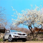스포티지R을 타고 찾아간 당진 봄을 만끽해보는 건 어떨까요?  Visit to Dangjin on Sportage R  Why dont you enjoy the Spring?
