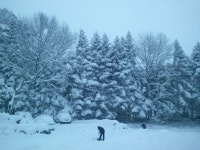 오대산 산장 앞 | My photos, Photo, Outdoor