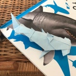 #오리가미 #종이접기 #정이접기그램 #origami #초등학생 #초딩 #초... [组图/Carousel]귀상어 20분소요 . . . #오리가미 #종이접기... 