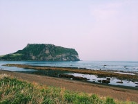 Vacation in Jeju  진행중이였던 상담은 잠시후 다시 진행해드리겠습니다.😁 | Art gallery, Nature, Natural landmarks