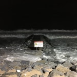 #오늘의바다 #파도맛집 #파도소리 #도깨비촬영지 #주문진 #강릉 #주문진여행 #강릉여행 #속초여행 #양양여행 #강원도여행 #소도시여행... 