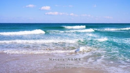 마음까지 깨끗해지는 동해바다 끊임없이 교차하는 시원한 파도 소리🌊wind wave 자연 ASMR - YouTube - 2022 | 파도, 자연, 소리
