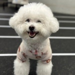 tteokguk_papa에 있는 tteokguk_papa님의 핀 | 웃음