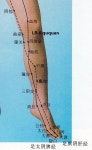 Pin su 경혈