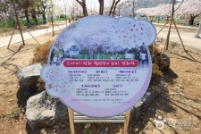 Gyeonghwa Station (Cherry Blossom Road) (경화역 벚꽃길) | Cherry blossom, 10 things, Blossom