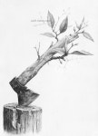 [정물소묘 구성 / 과정작] 나무그루터기, 도끼, 새싹 (물성의 변화) | Art, Pencil drawings, Surrealism painting