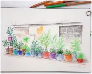 그림도 마음처럼 안 되네요. . 아르쉬 트래블저널/마르코색연필 이었습니다. . #커피 #색연필 #색연필화… - 2020 | 색연필, 화실, 색