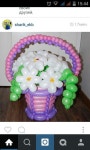 Balloon Flower에 있는 ナターシャ님의 핀 | 꽃