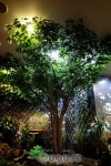 artificial landscape 실내조경 , 인조실내조경 , artificial  indoor landscape , planterior - 2020